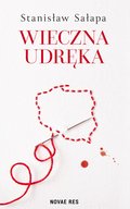 Wieczna udręka. Zmagania Polaków z własnym państwem - ebook