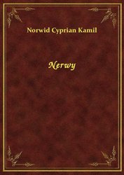 : Nerwy - ebook