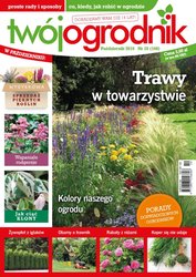 : Twój Ogrodnik - e-wydanie – 10/2016