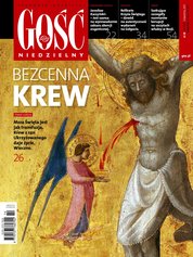 : Gość Niedzielny - Płocki - e-wydanie – 14/2017