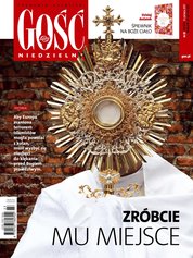 : Gość Niedzielny - Gliwicki - e-wydanie – 23/2017