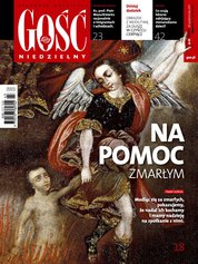 : Gość Niedzielny - Bielsko Żywiecki - e-wydanie – 43/2017