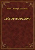 ebooki: Chłop Poddany - ebook