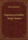 Fragmenty przekładu "Iliady" Homera - ebook