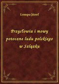 Przysłowia i mowy potoczne ludu polskiego w Szlązku - ebook