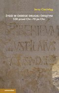 Dokument, literatura faktu, reportaże, biografie: Żydzi w okresie drugiej świątyni 538 przed Chrystusem - 70 po Chrystusie - ebook