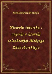 : Niewola tatarska : urywki z kroniki szlacheckiej Aleksego Zdanoborskiego - ebook
