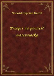 : Przepis na powieść warszawską - ebook