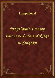 : Przysłowia i mowy potoczne ludu polskiego w Szlązku - ebook
