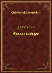 : Spuścizna Brzozowskiego - ebook