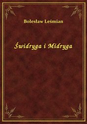 : Świdryga i Midryga - ebook