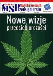 : Gazeta Małych i Średnich Przedsiębiorstw - e-wydanie – 1/2020