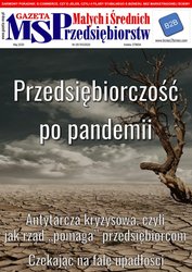 : Gazeta Małych i Średnich Przedsiębiorstw - e-wydanie – 5/2020