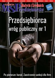 : Gazeta Małych i Średnich Przedsiębiorstw - e-wydanie – 7/2022