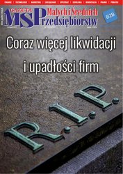 : Gazeta Małych i Średnich Przedsiębiorstw - e-wydanie – 11/2022