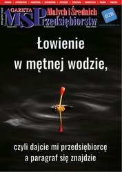 : Gazeta Małych i Średnich Przedsiębiorstw - e-wydanie – 8/2023