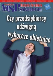 : Gazeta Małych i Średnich Przedsiębiorstw - e-wydanie – 11/2023